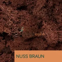 Islandmoos Nuss Braun