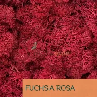 Islandmoos Fuchsia Rosa 0100 Gramm