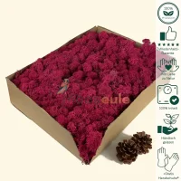 Islandmoos Fuchsia Rosa 1000 Gramm