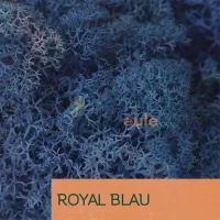 Islandmoos Royal Blau