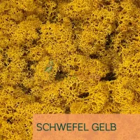 Islandmoos Schwefel Gelb