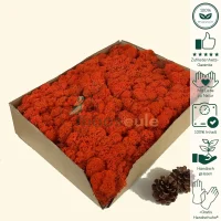 Islandmoos Vibrant Orange 1000 Gramm