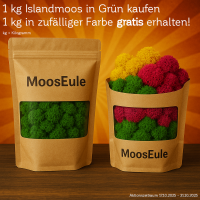 Islandmoos Wald Grün 1000 Gramm + Color Pack