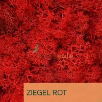 Islandmoos Ziegel Rot