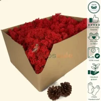 Islandmoos Ziegel Rot 2500 Gramm