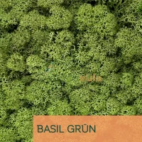 Islandmoos Basil Grün 0100 Gramm