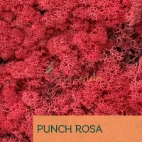 Islandmoos Punch Rosa