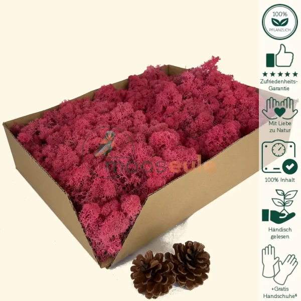 Islandmoos Punch Rosa 1000 Gramm