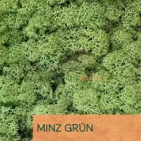 Islandmoos Minz Grün 0100 Gramm