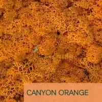 Islandmoos Canyon Orange 0100 Gramm