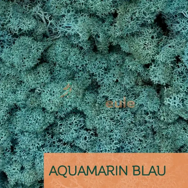 Islandmoos Aquamarin Blau