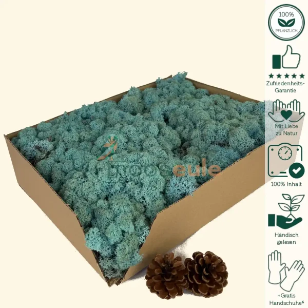 Islandmoos Aquamarin Blau 1000 Gramm