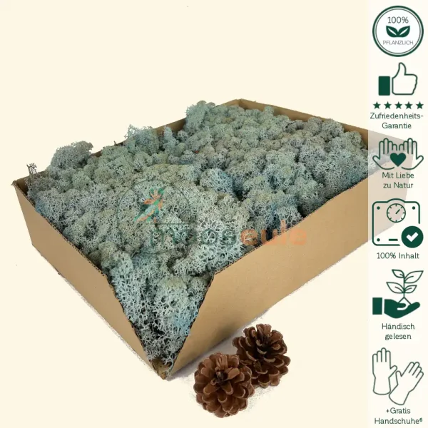 Islandmoos Himmel Blau 1000 Gramm