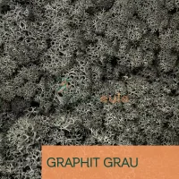 Islandmoos Graphit Grau