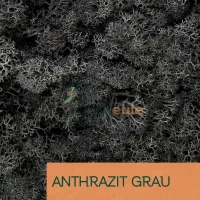 Islandmoos Anthrazit Grau 0100 Gramm