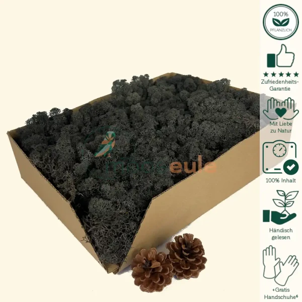 Islandmoos Anthrazit Grau 1000 Gramm