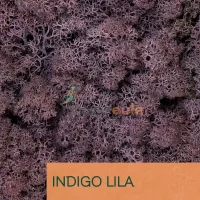 Islandmoos Indigo Lila 0100 Gramm