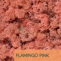 Islandmoos Flamingo Pink