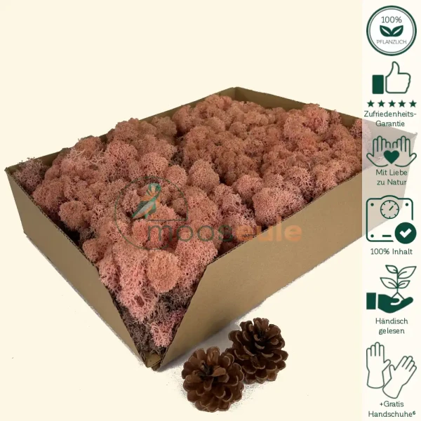 Islandmoos Flamingo Pink 1000 Gramm