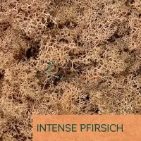 Islandmoos Intense Pfirsich 0100 Gramm