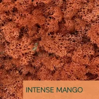 Islandmoos Intense Mango