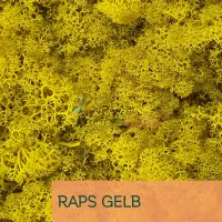 Islandmoos Raps Gelb 0100 Gramm
