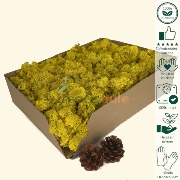 Islandmoos Raps Gelb 1000 Gramm