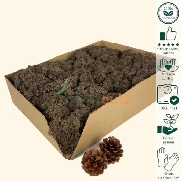 Islandmoos Kaffee Braun 1000 Gramm