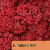 Islandmoos Himbeer Rot 0100 Gramm
