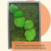 Waldmoos Natur Grün 1000 Gramm