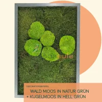 Waldmoos Natur Grün 1000 Gramm