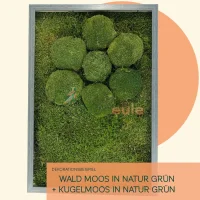 Waldmoos Natur Grün 1000 Gramm