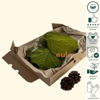 Cobra Leaves 9 Stück