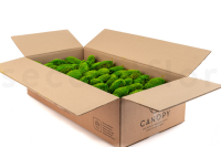 GROßPACKUNG Kugelmoos Hell Grün 2kg
