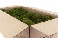 GROßPACKUNG Kugelmoos Natur Grün 2kg