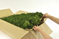 GROßPACKUNG Islandmoos Wald Grün 5kg