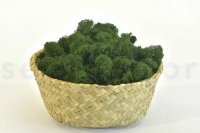GROßPACKUNG Islandmoos Wald Grün 5kg