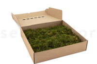 GROßPACKUNG Sternmoos Hell Grün 0,4kg