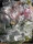 Islandmoos Mixed Packung 3kg Paket3