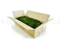 GROßPACKUNG Langes Moos Natur Grün 3kg