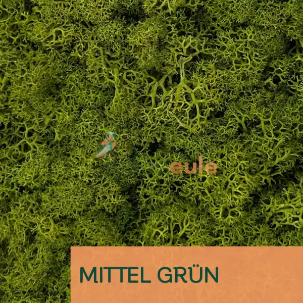 Islandmoos Mittel Grün 5000 Gramm