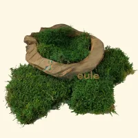 Waldmoos Natur Grün 3000 Gramm