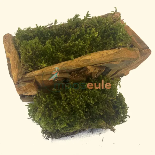 Langes Moos Natur Grün 2000 Gramm