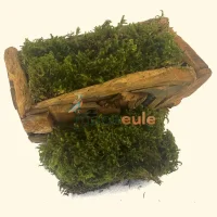 Langes Moos Natur Grün 2000 Gramm