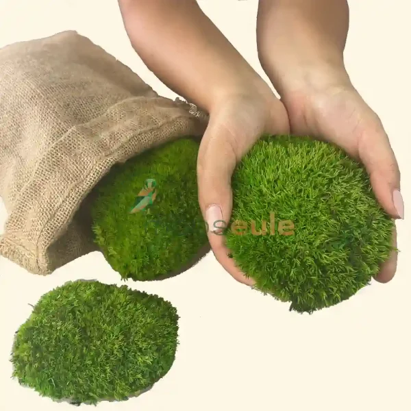 Kugelmoos Hell Grün 2000 Gramm