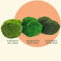 Kugelmoos Hell Grün 2000 Gramm