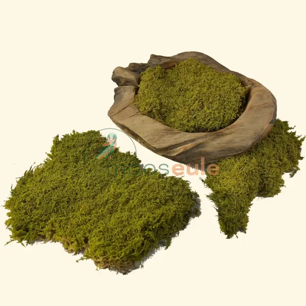 Steinmoos Sumpf Grün 0700 Gramm