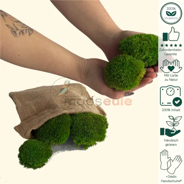 Mini Kugelmoos Hell Grün 0400 Gramm