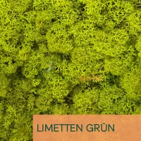 Islandmoos Limetten Grün 0100 Gramm